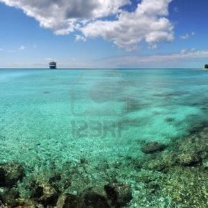 Meet your Posher, Marta